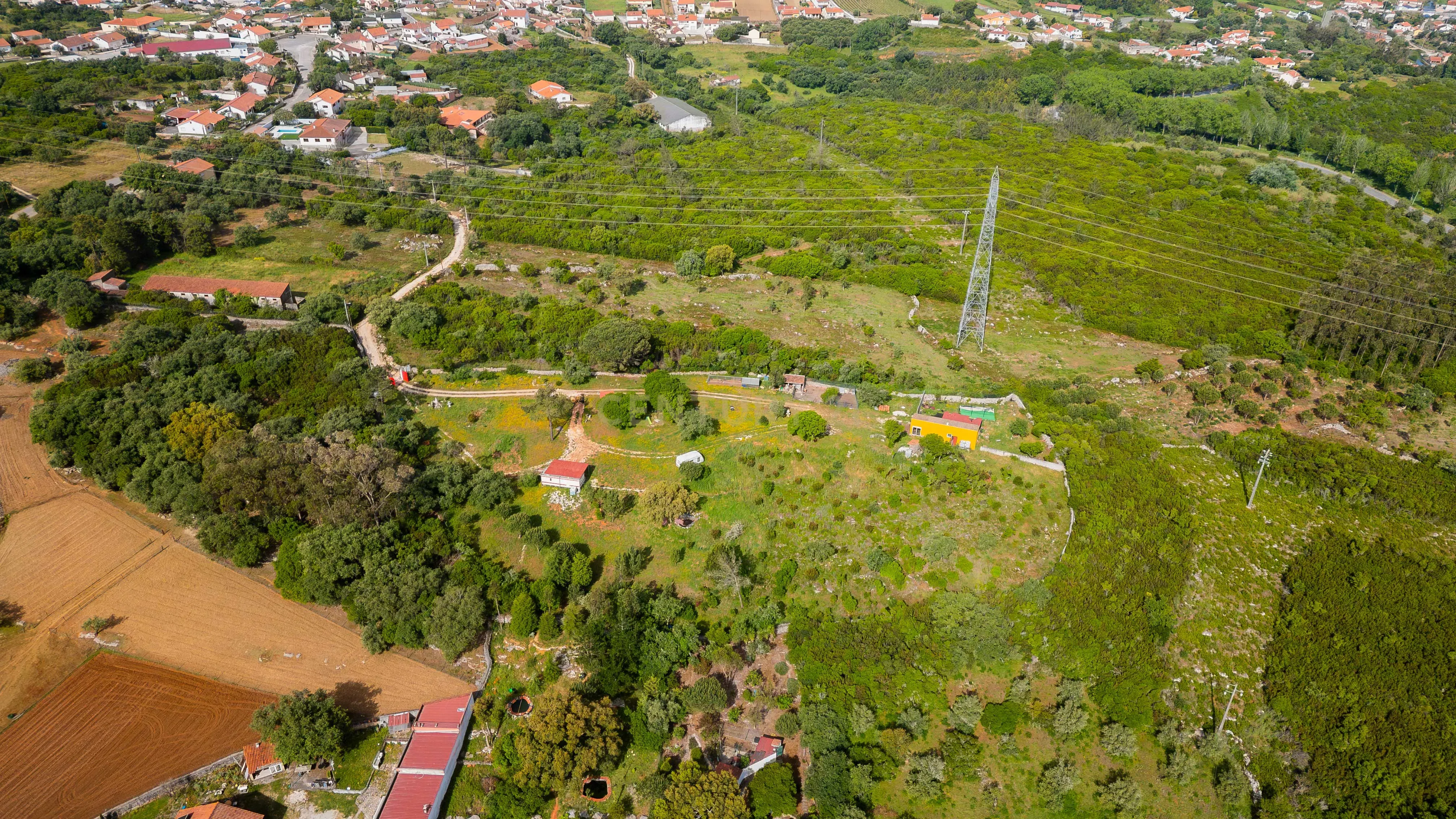 Quinta com habitação - Alcobaça - View 4