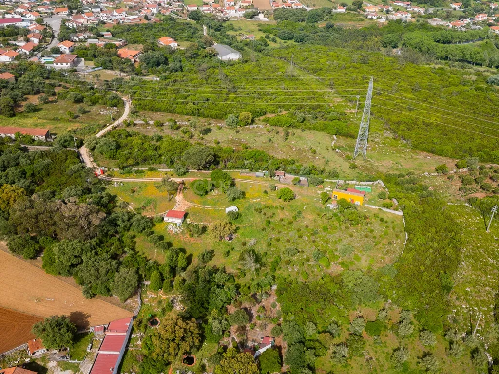 Quinta com habitação - Alcobaça - Image 5