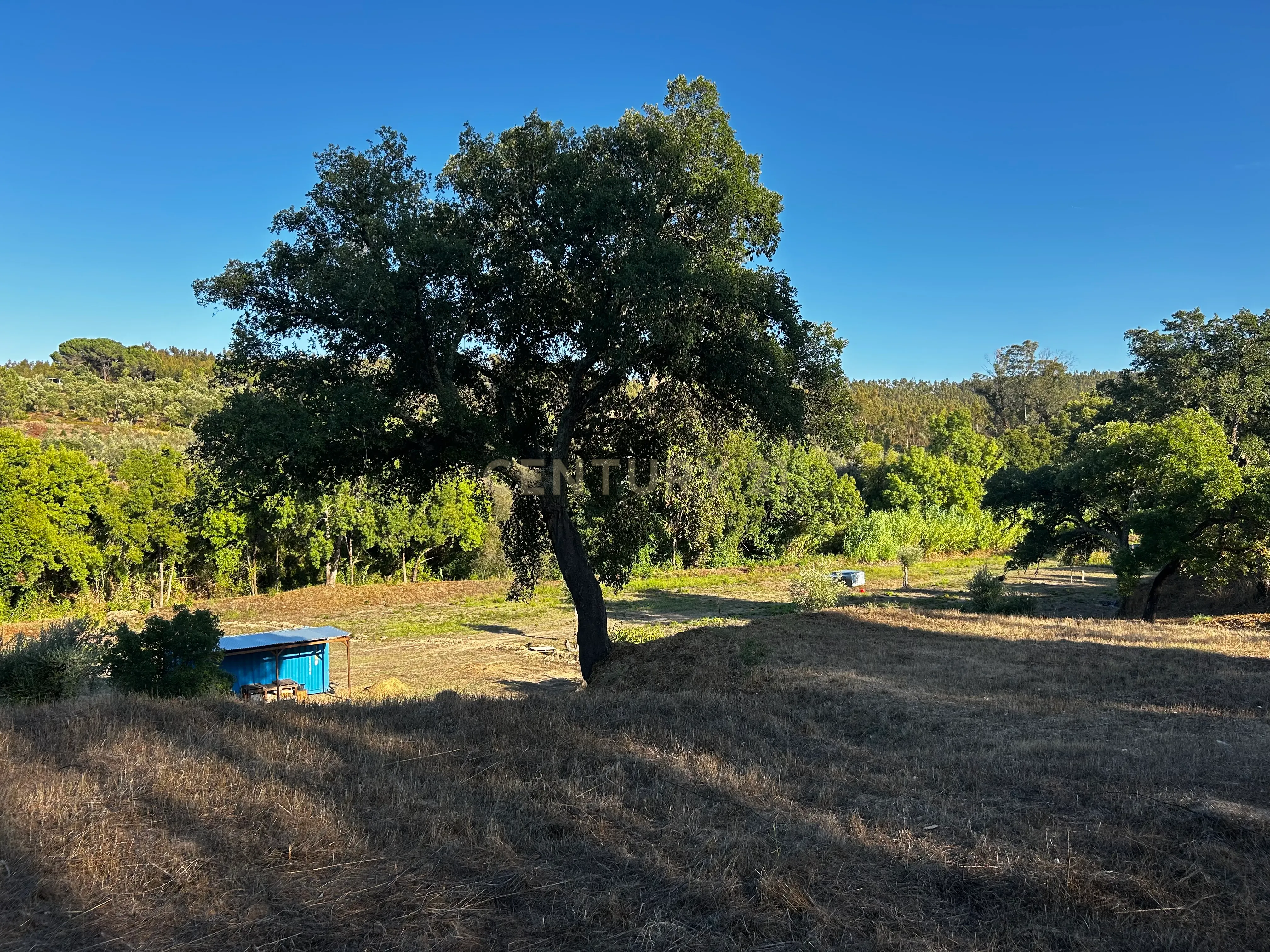 Fotografia 9 de Quinta c/2,5 hectares , casa pré fabricada e ruína para reconstrução.