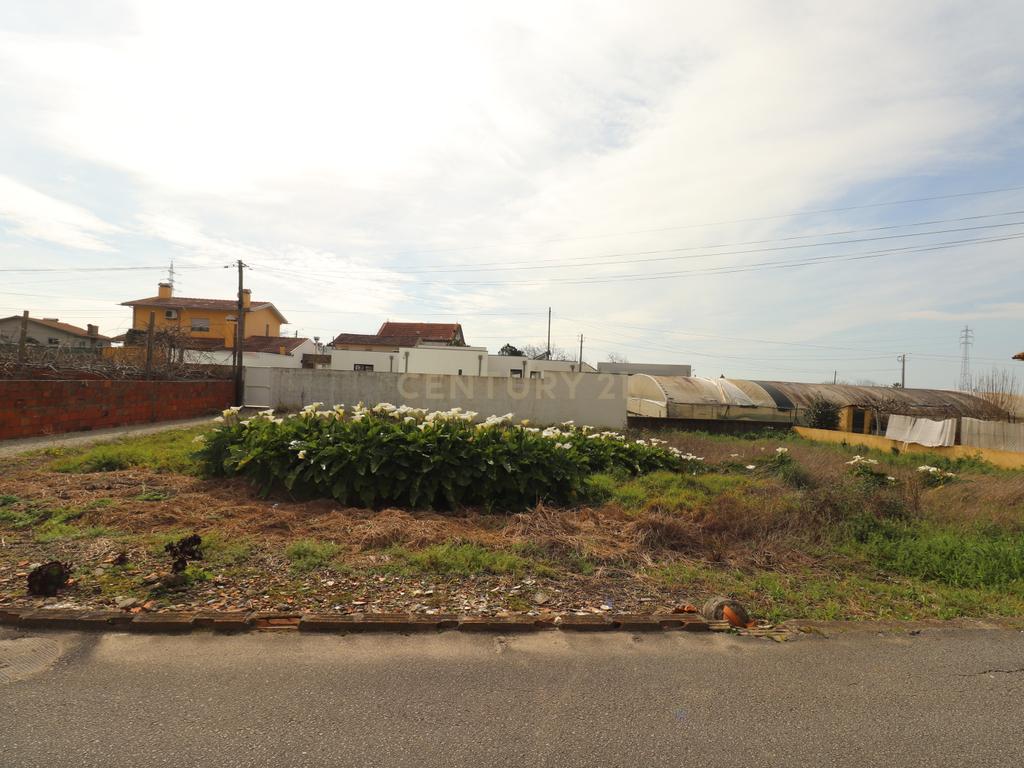 Terreno á venda na Rua das Arroteias em Avanca - Image 4
