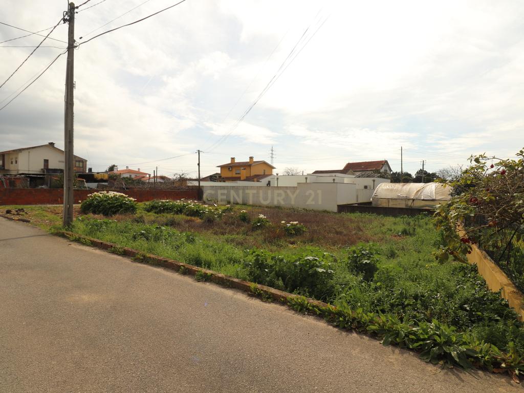 Terreno á venda na Rua das Arroteias em Avanca - Image 5