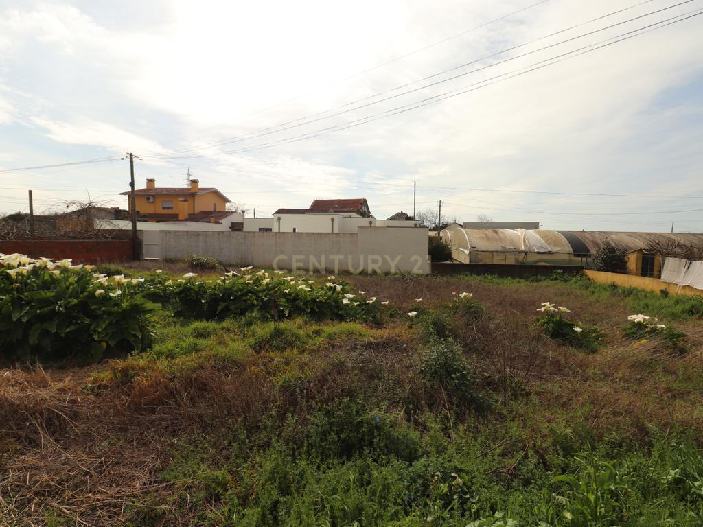 Terreno á venda na Rua das Arroteias em Avanca - Image 7