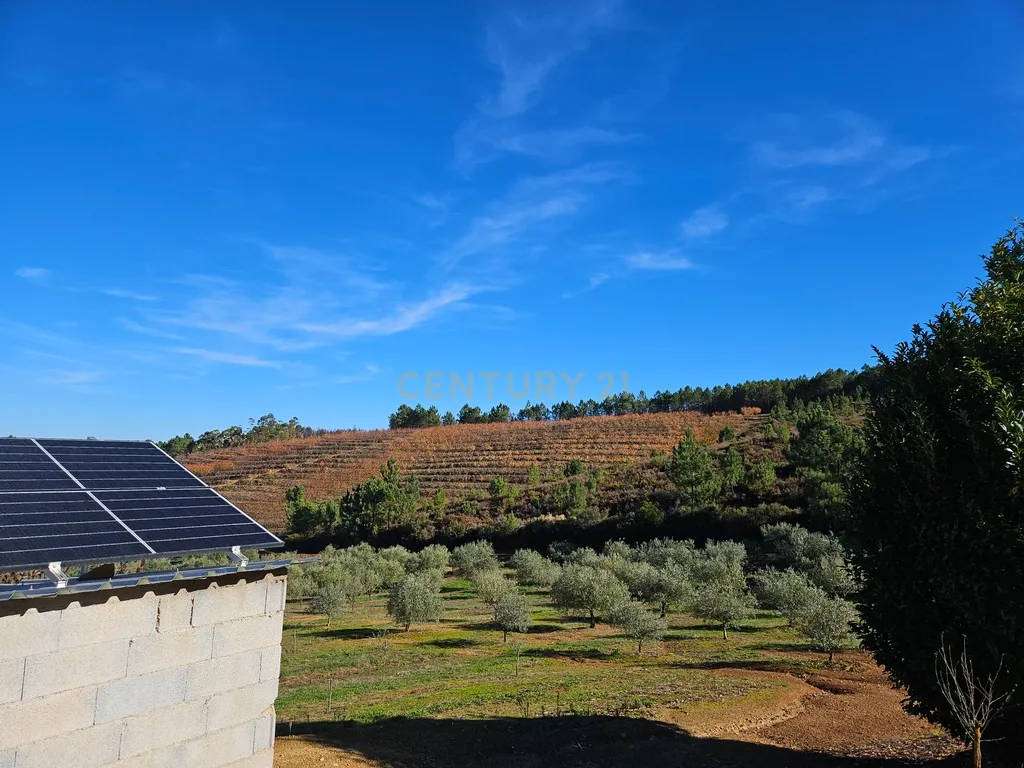 Quinta de Excelência Agrícola na Região Premium do Fundão: 32 ha de Alta Produtividade - Image 36