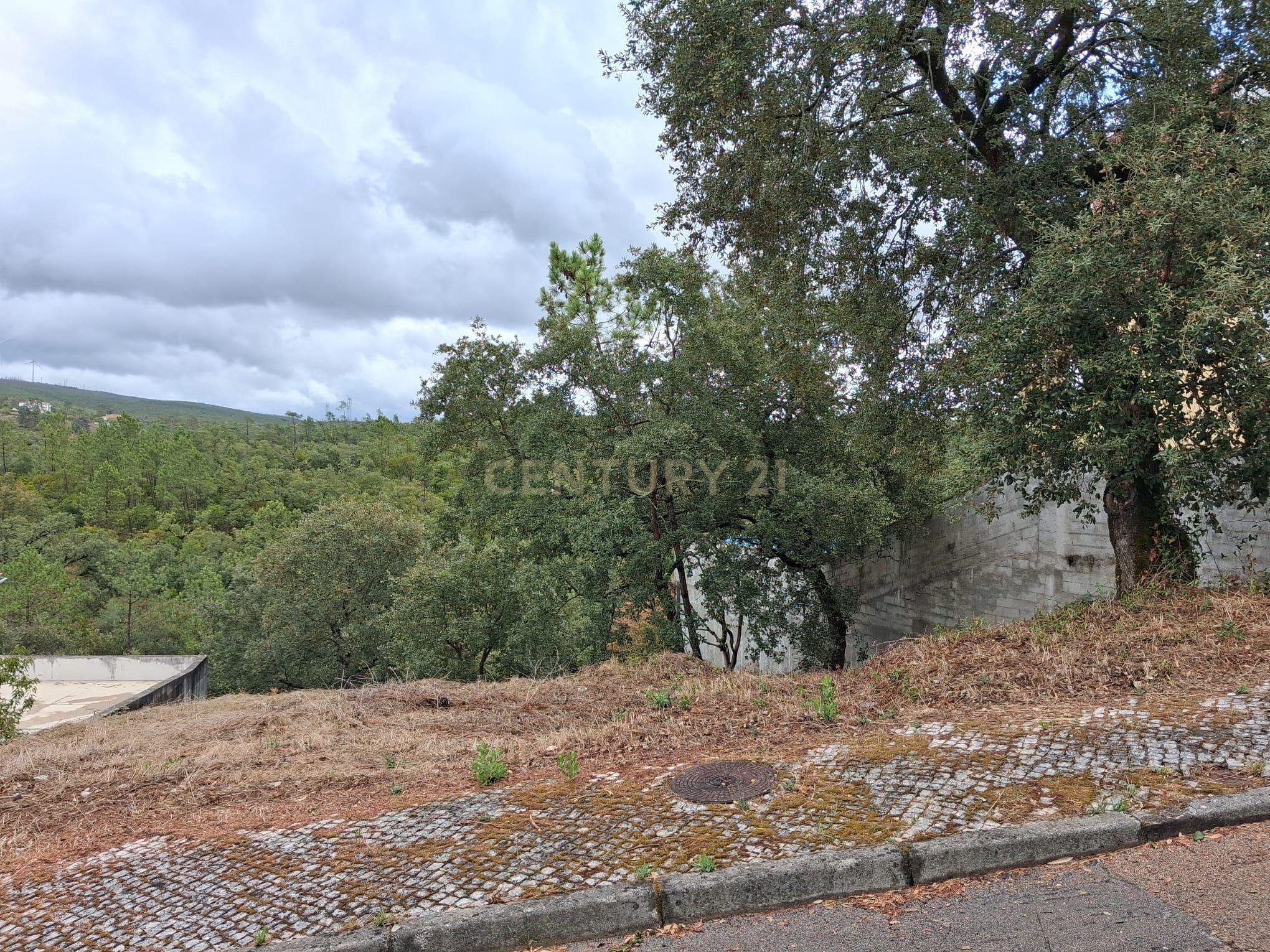 Fotografia 3 de Lote em Zona Nobre de Pombal