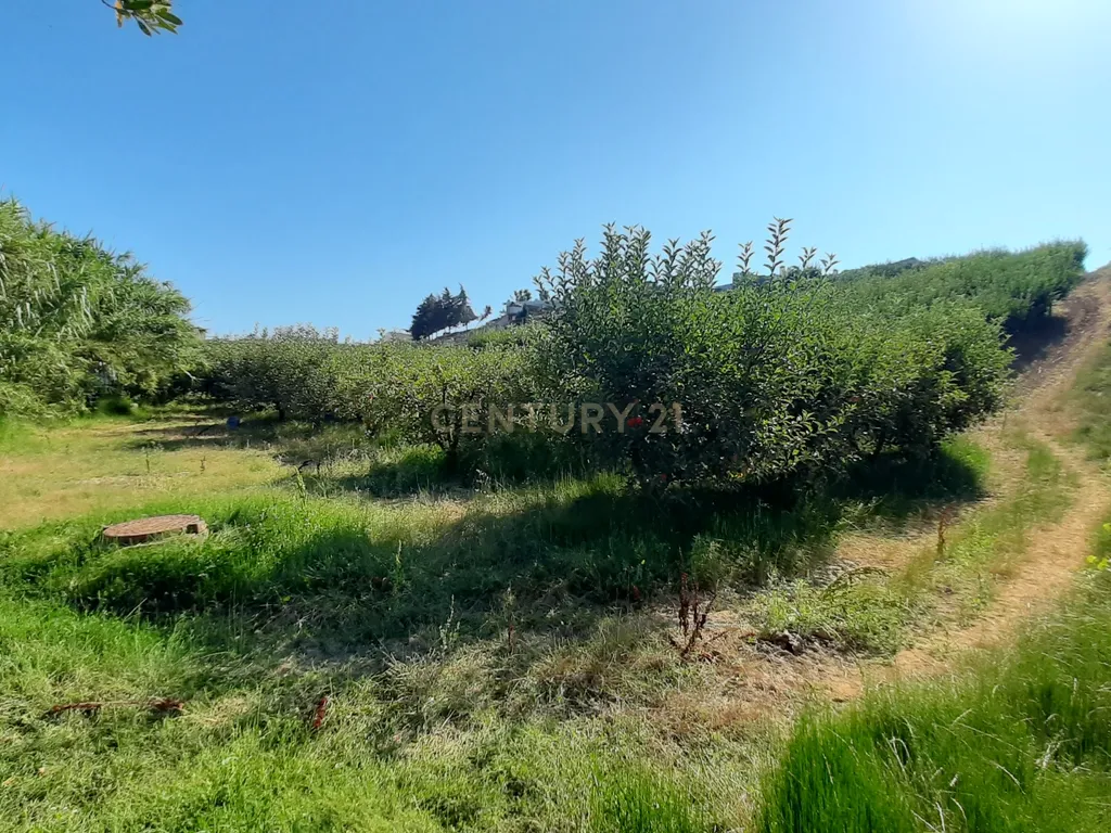 Terreno para construção Condomínio 2 Moradias + anexo comum em Turcifal - Image 10