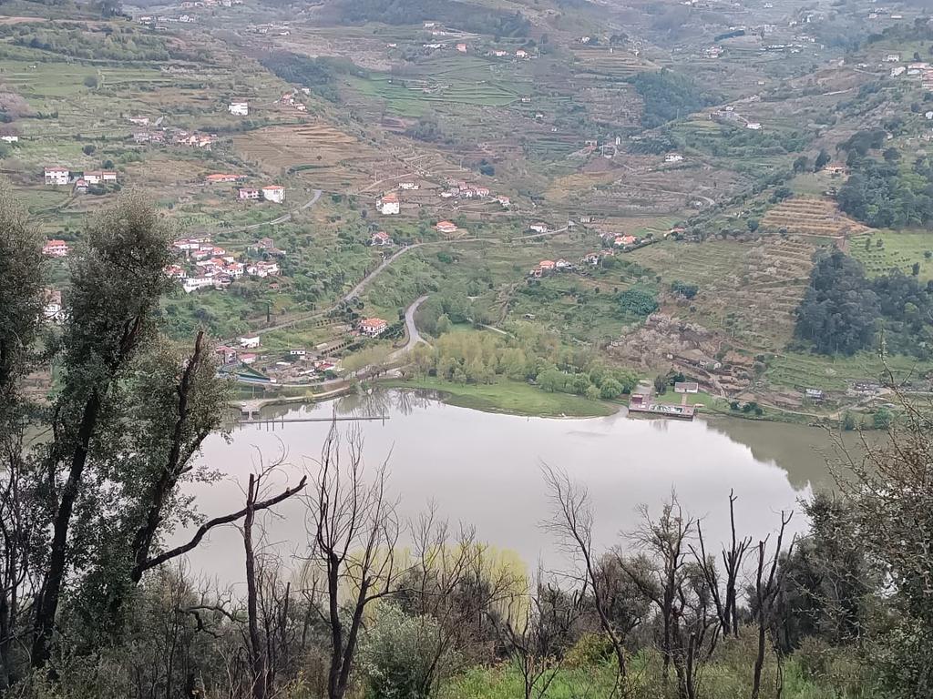 Terreno florestal com vista para a praia fluvial de Porto de Rei em Barqueiros, Mesão Frio às portas do Douro - Image 35