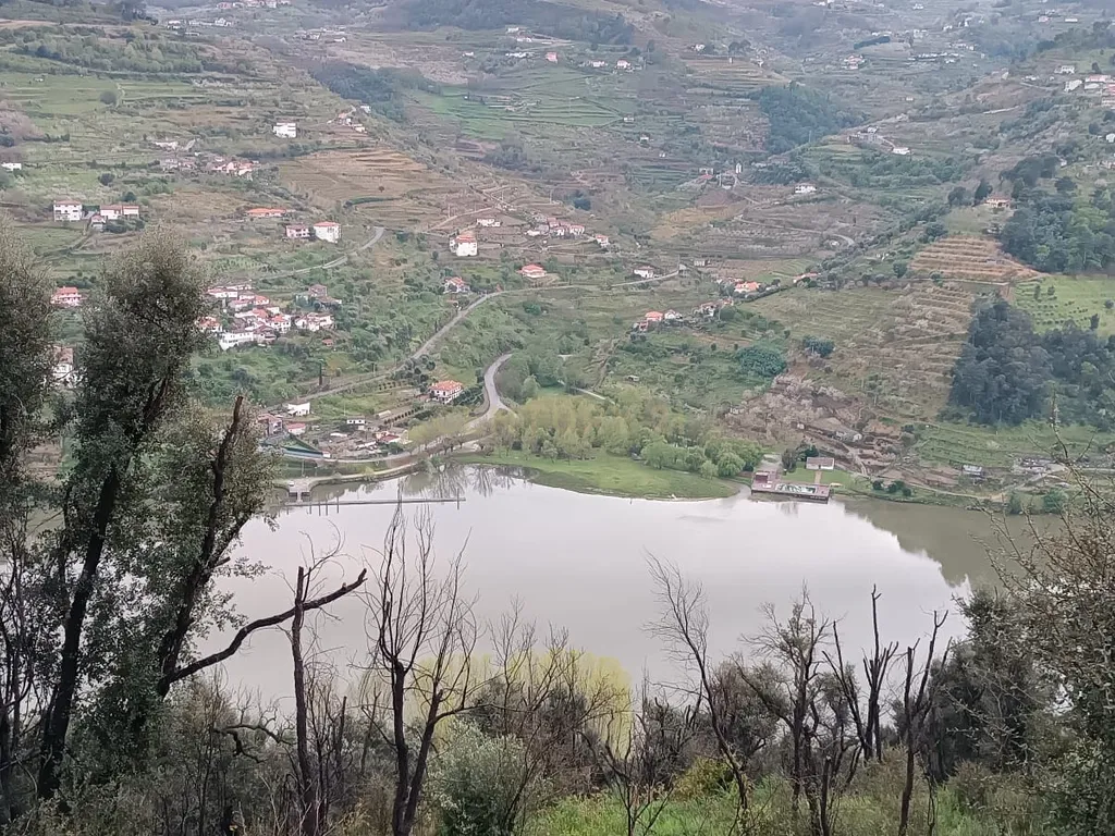 Terreno florestal com vista para a praia fluvial de Porto de Rei em Barqueiros, Mesão Frio às portas do Douro - Image 35