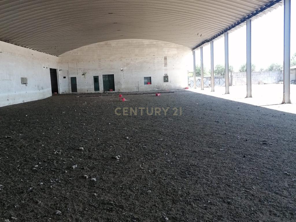 Beja, 2040,150 m2 de Armazéns Diversos instalados em 7190,690 m2 de terrenos Urbanos e ainda 2,5 hectares de terrenos Rústicos - Image 12