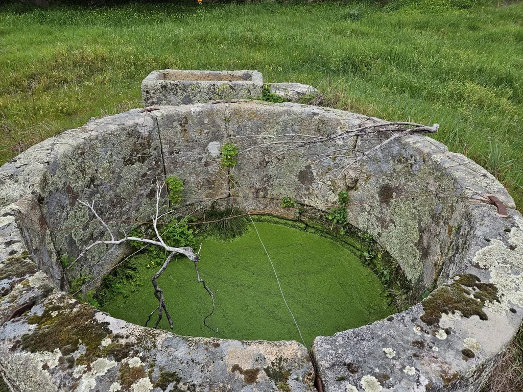 Quintinha na Lousa, Castelo Branco - Image 22
