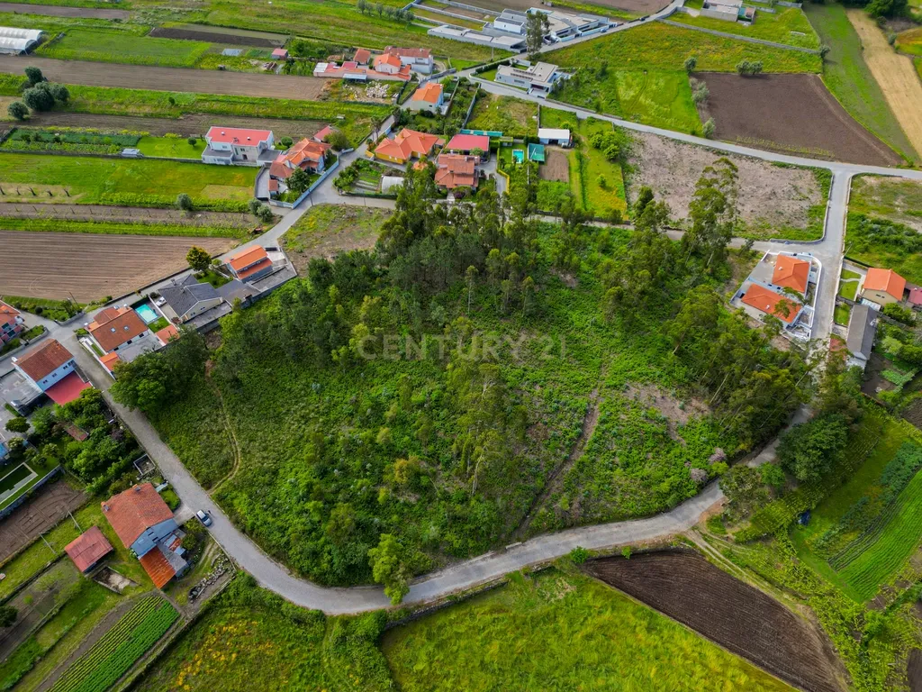 Terreno para Construção - Image 9