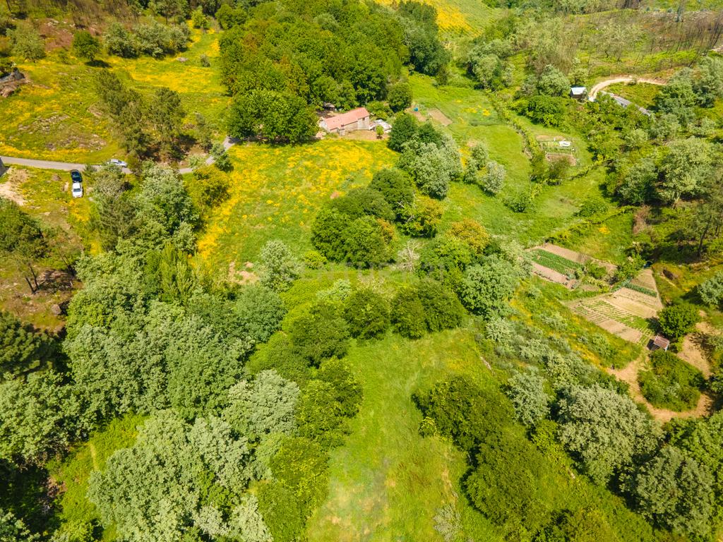 Terrenos para Construção em Marco de Canaveses  - Image 3