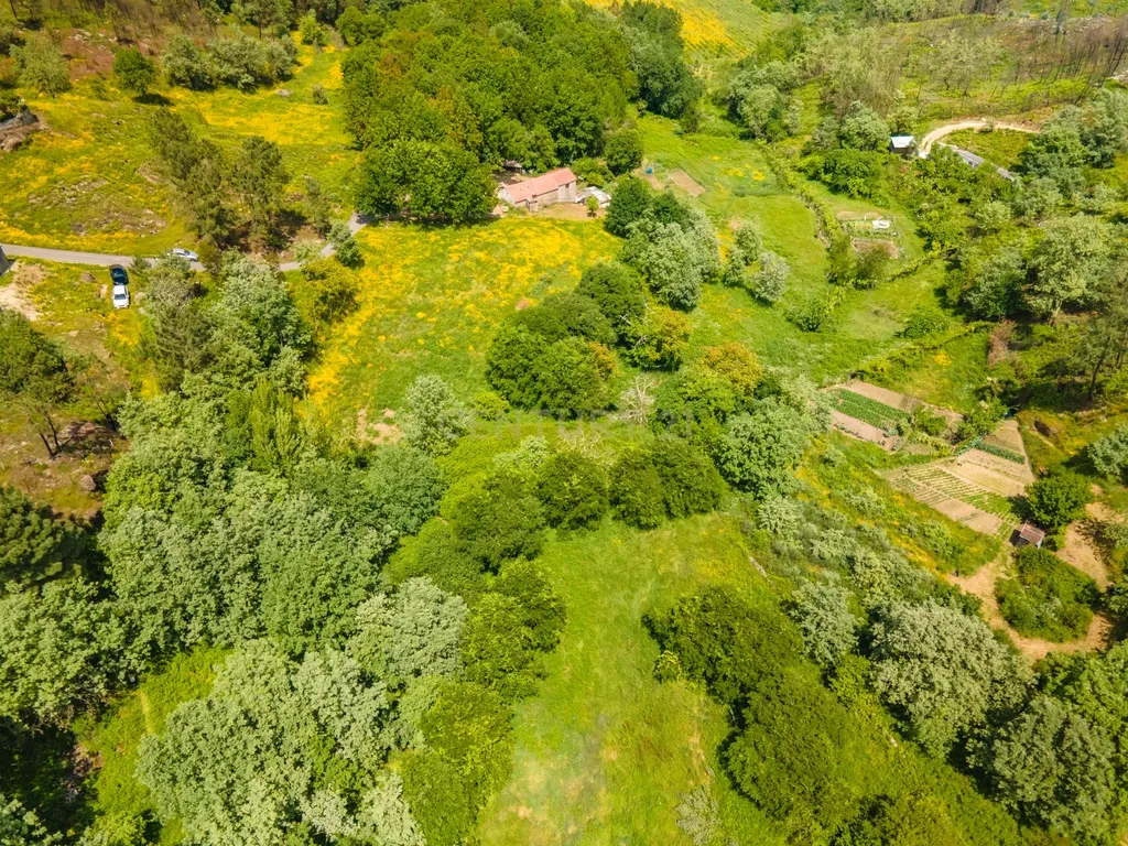 Terrenos para Construção em Marco de Canaveses - Image 3