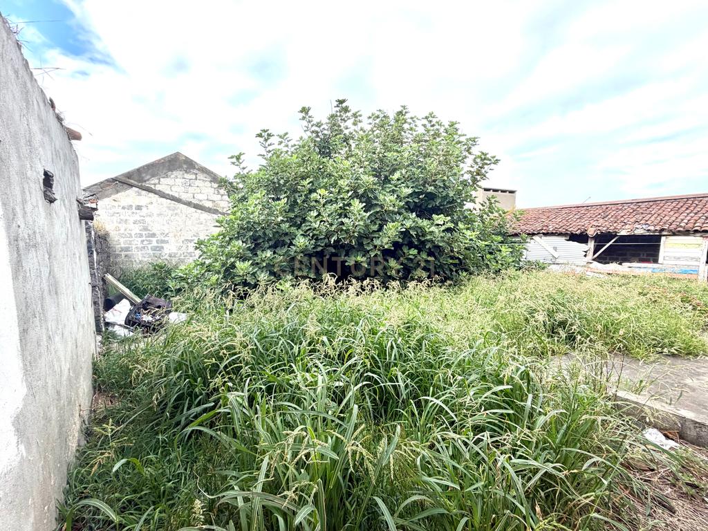 Oportunidade na Maia | Moradia T3 com Potencial para 2 Imóveis - Image 17