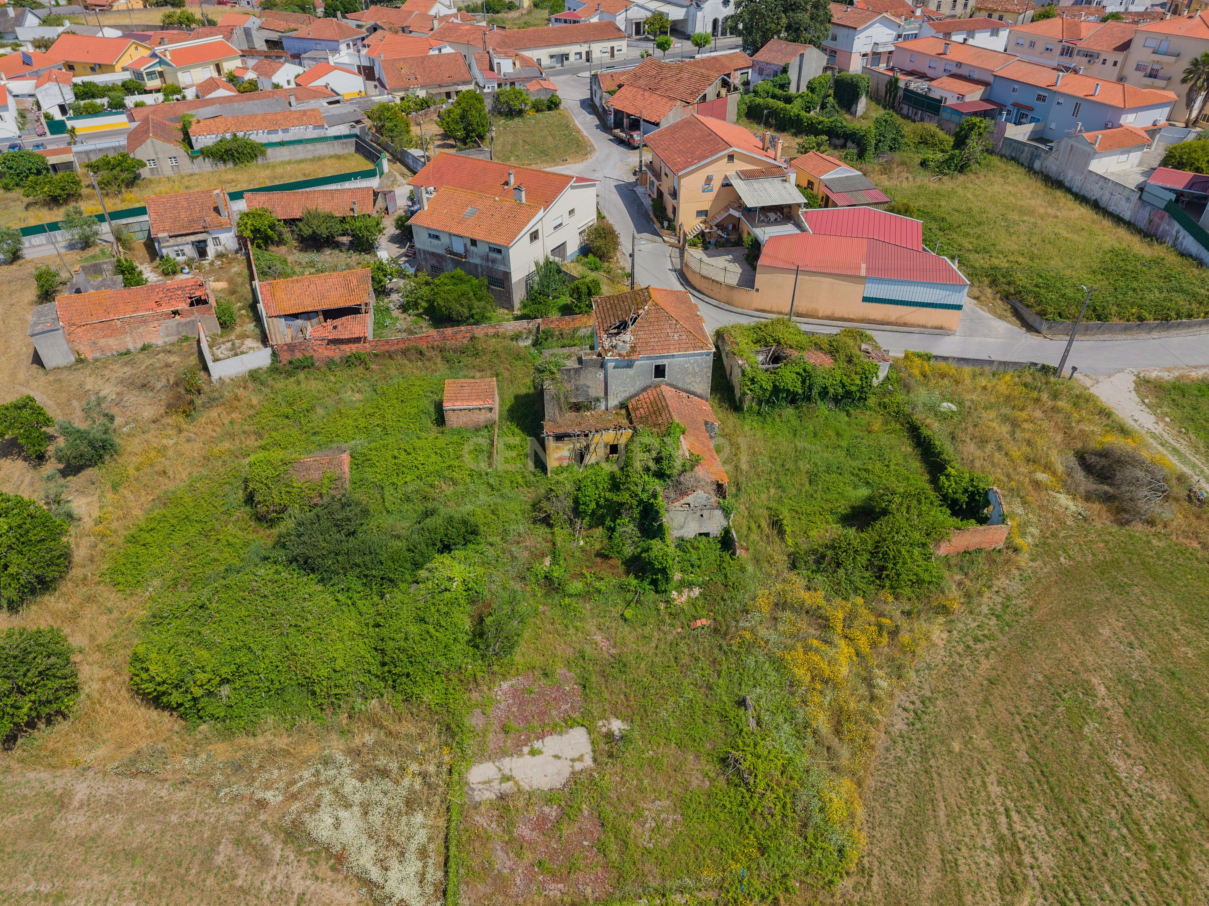Fotografia 3 de INVESTIMENTO COM ELEVADO POTENCIAL DE VALORIZAÇÃO - 2,3 HA