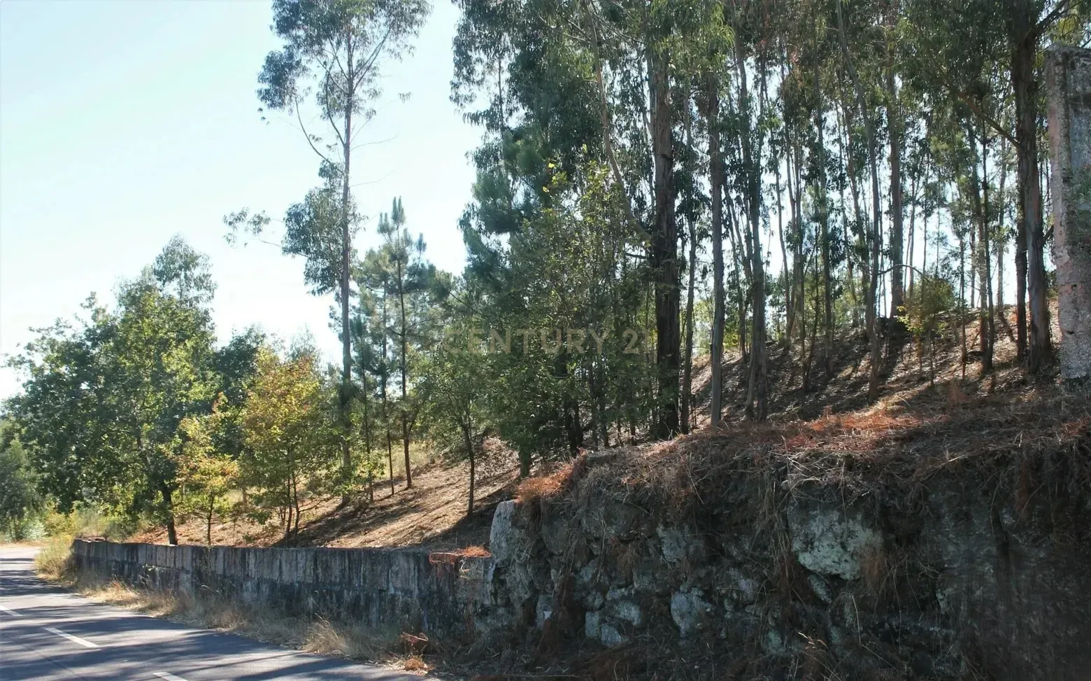 Moradia T2 à venda em Vila Boa de Quires e Maureles, Marco de Canaveses — foto 17