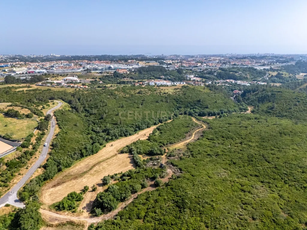 Terreno Rústico com 1120 m2 em Alcabideche - Image 16