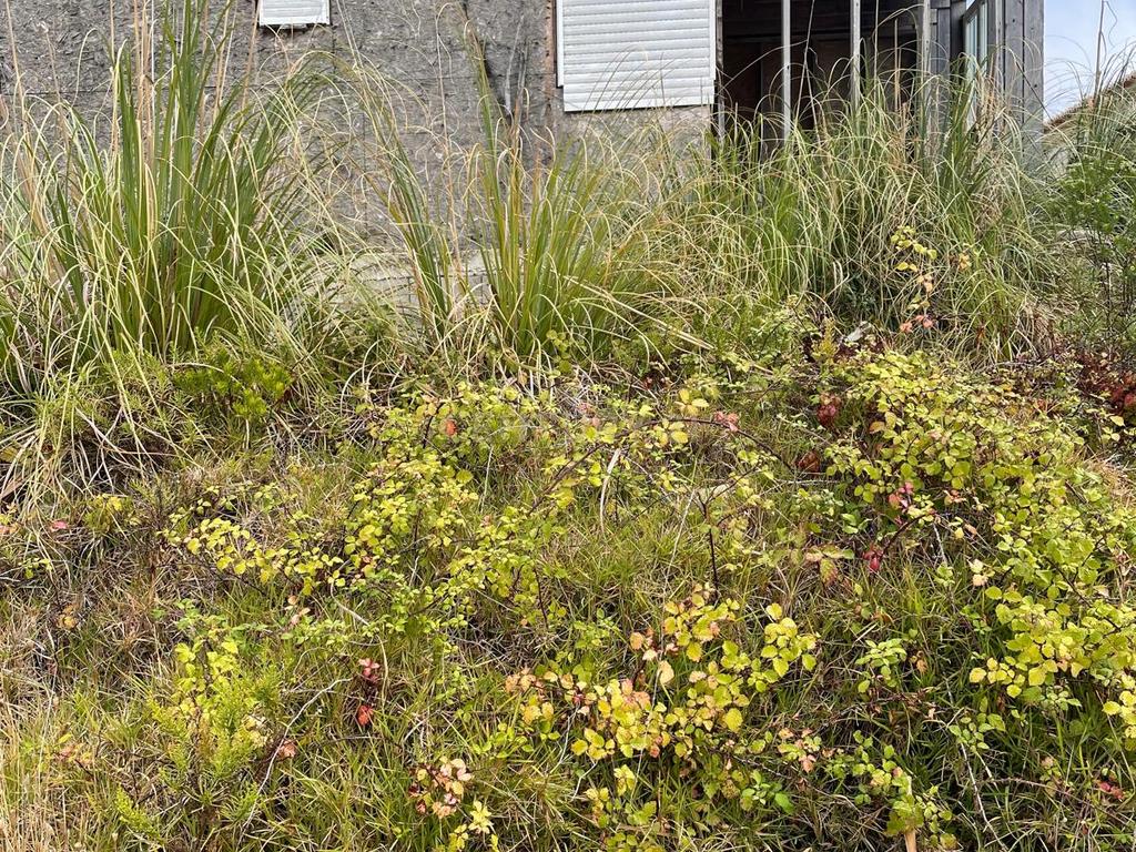 Terreno em Vale da Telha com obra inacabada - Image 5