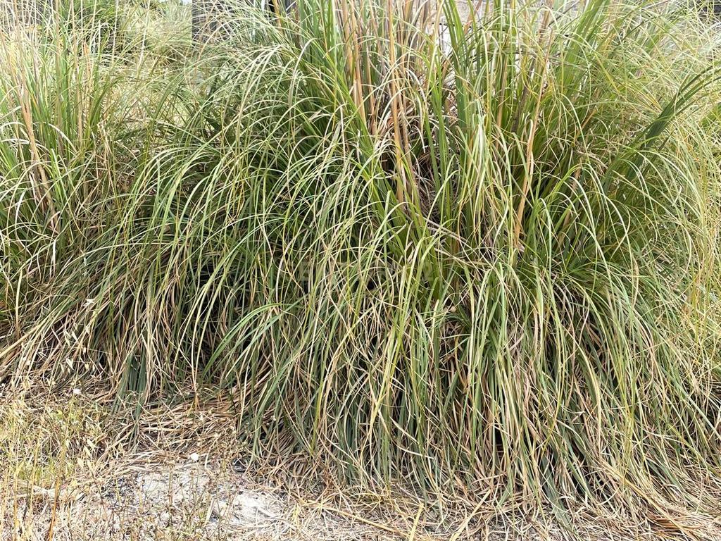Terreno em Vale da Telha com obra inacabada - Image 6