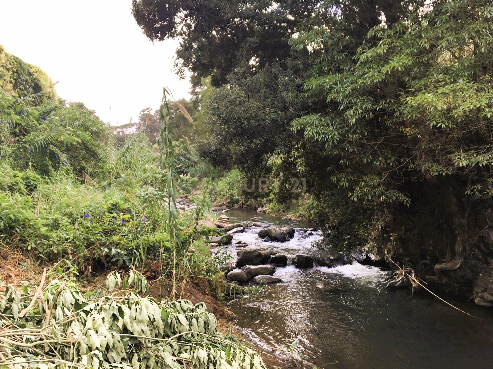 Fotografia 5 de 🌿 Moinho de Água Histórico junto à Ribeira | Mãe d’Água – Ribeira Grande