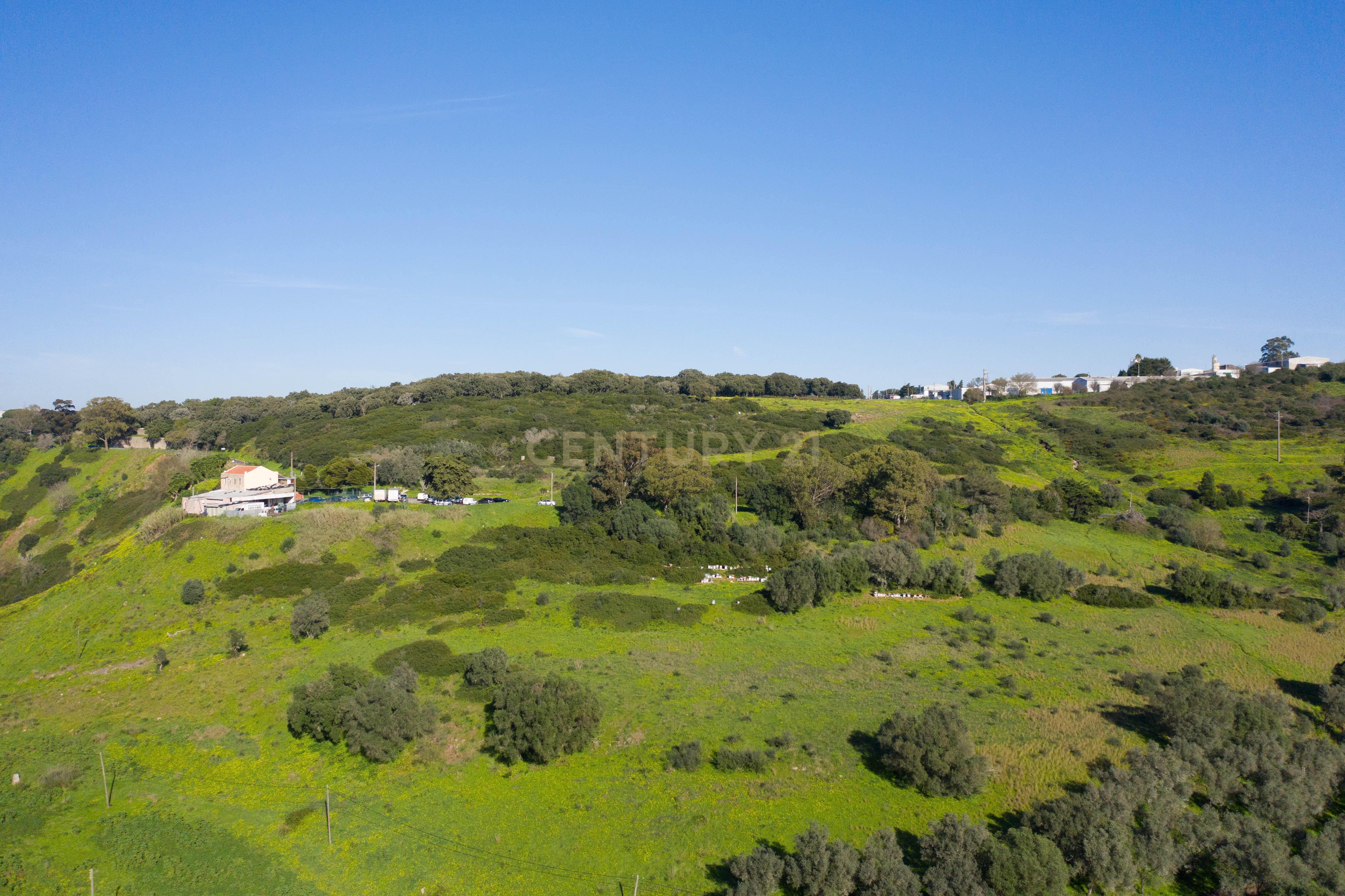 Terreno Urbano - Valejas - Image 8