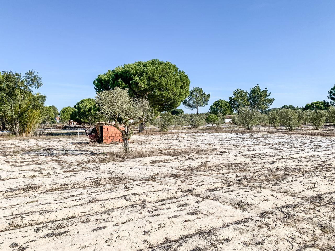 Fotografia 4 de Terreno rústico com 2.600 m² - Vale Gamito, Quinta do Amaro, Grândola