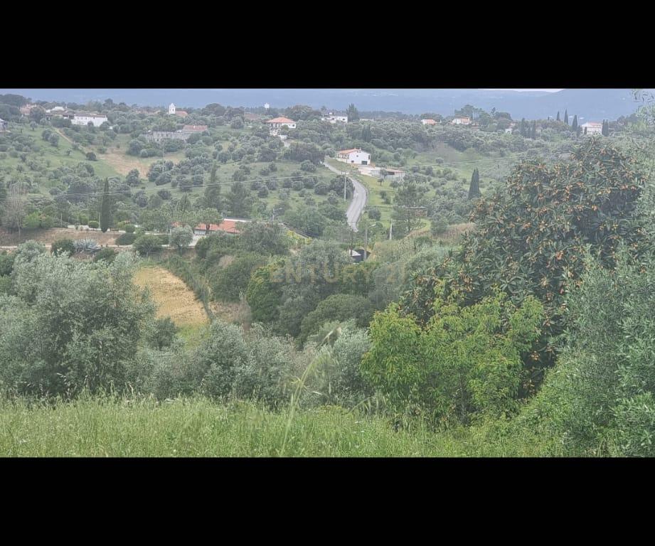 Terreno Urbano à Venda – Brogueira, Torres Novas - Image 6