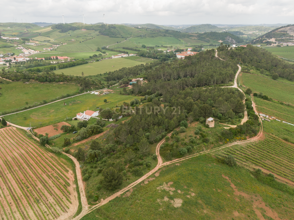 Quinta do Penedo – Runa Torres Vedras - Um Tesouro do Século XVIII com Projeto Turístico Aprovado - Image 46
