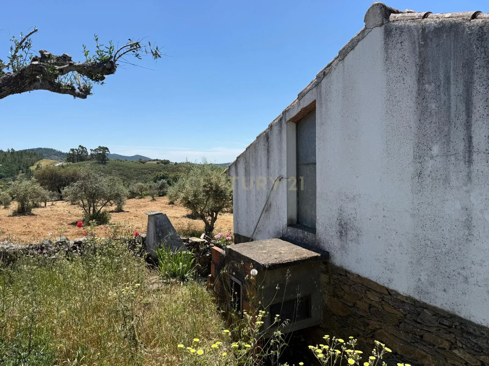 Fotografia 4 de Casa de Campo em Alegrete, Portalegre - Oportunidade Única