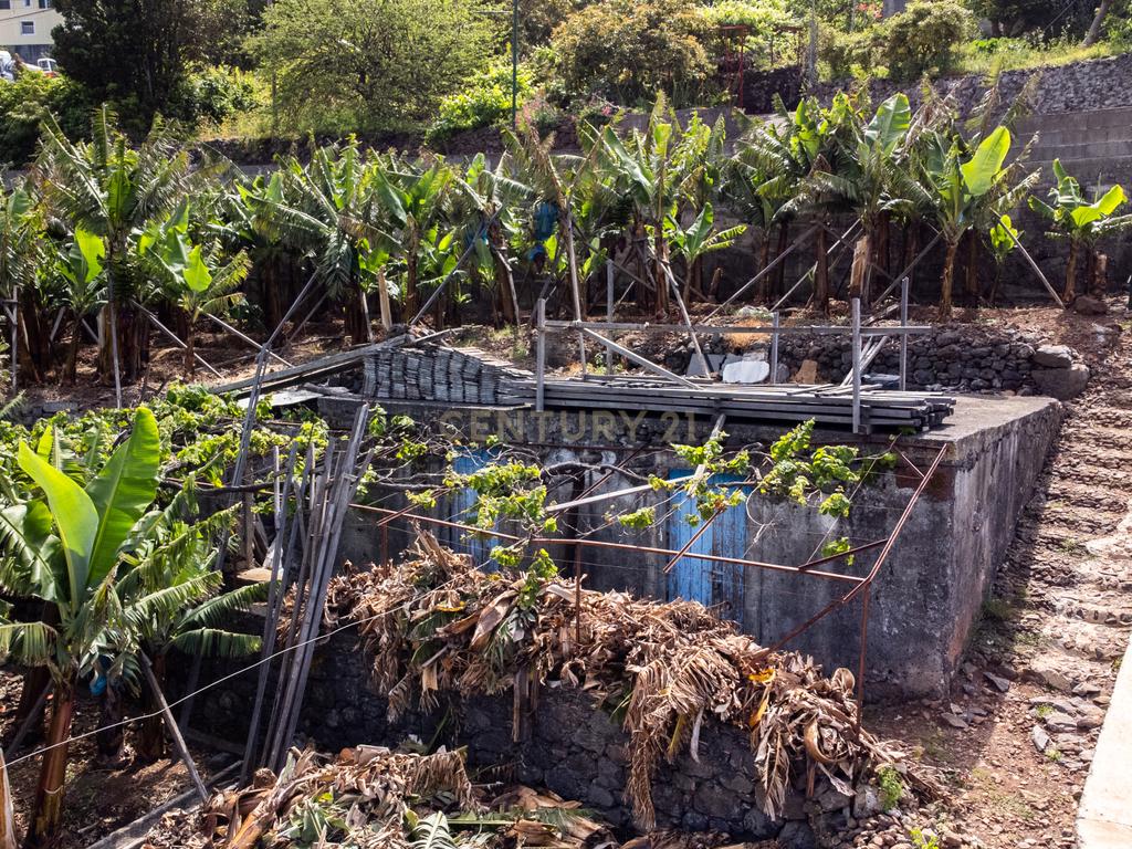 Terreno para construção 1946m2 - Arco da Calheta - Image 4