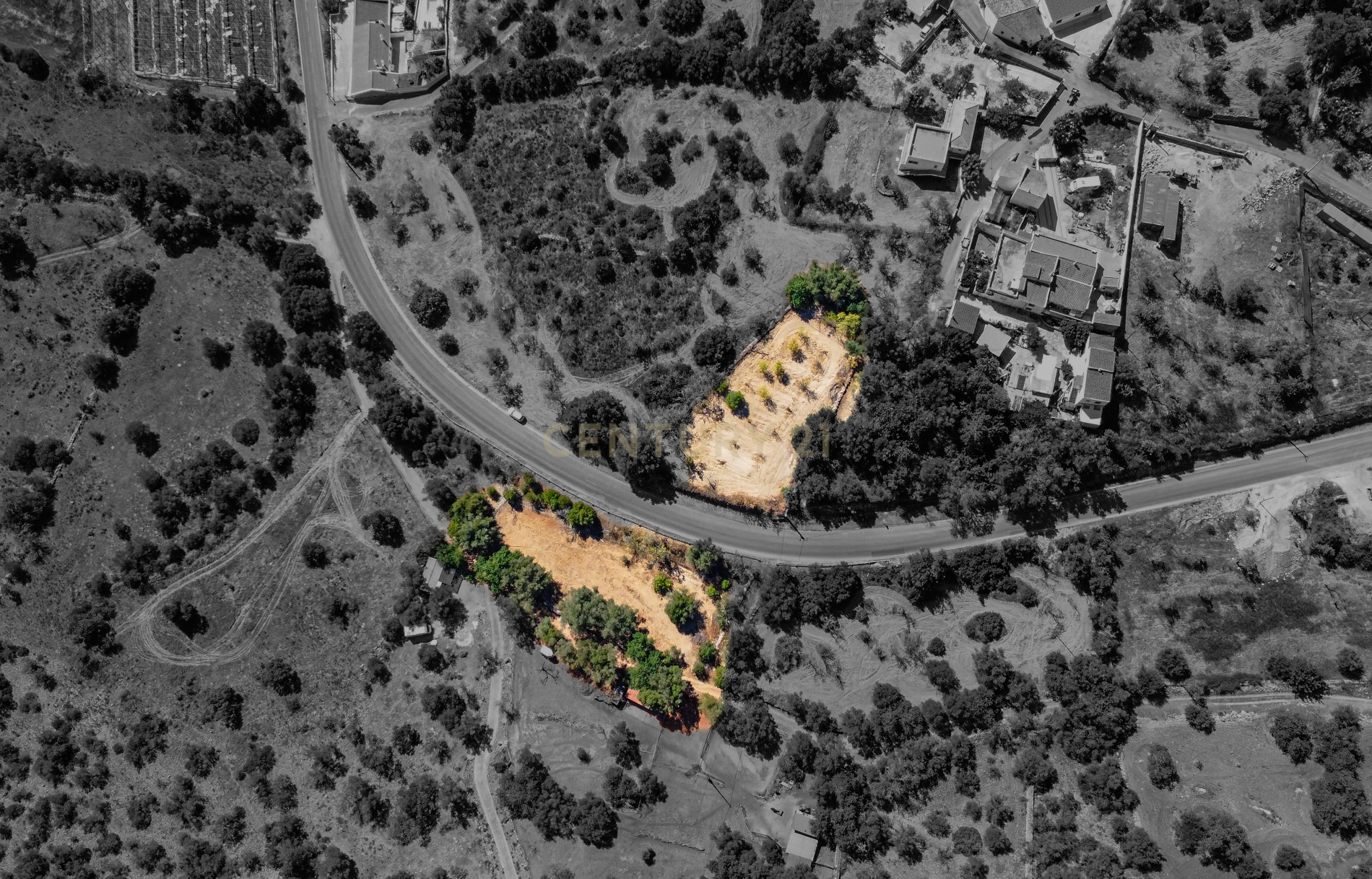 Terreno com alfarrobeiras e bons acessos perto de Paderne