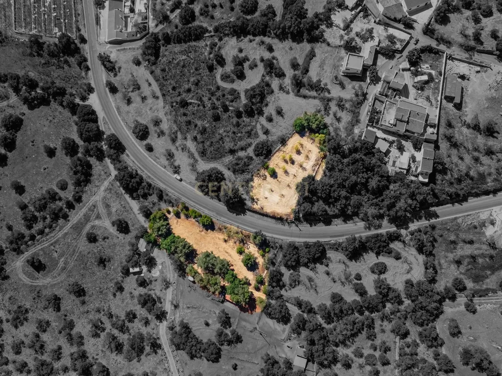 Terreno com alfarrobeiras e bons acessos perto de Paderne - Image 1