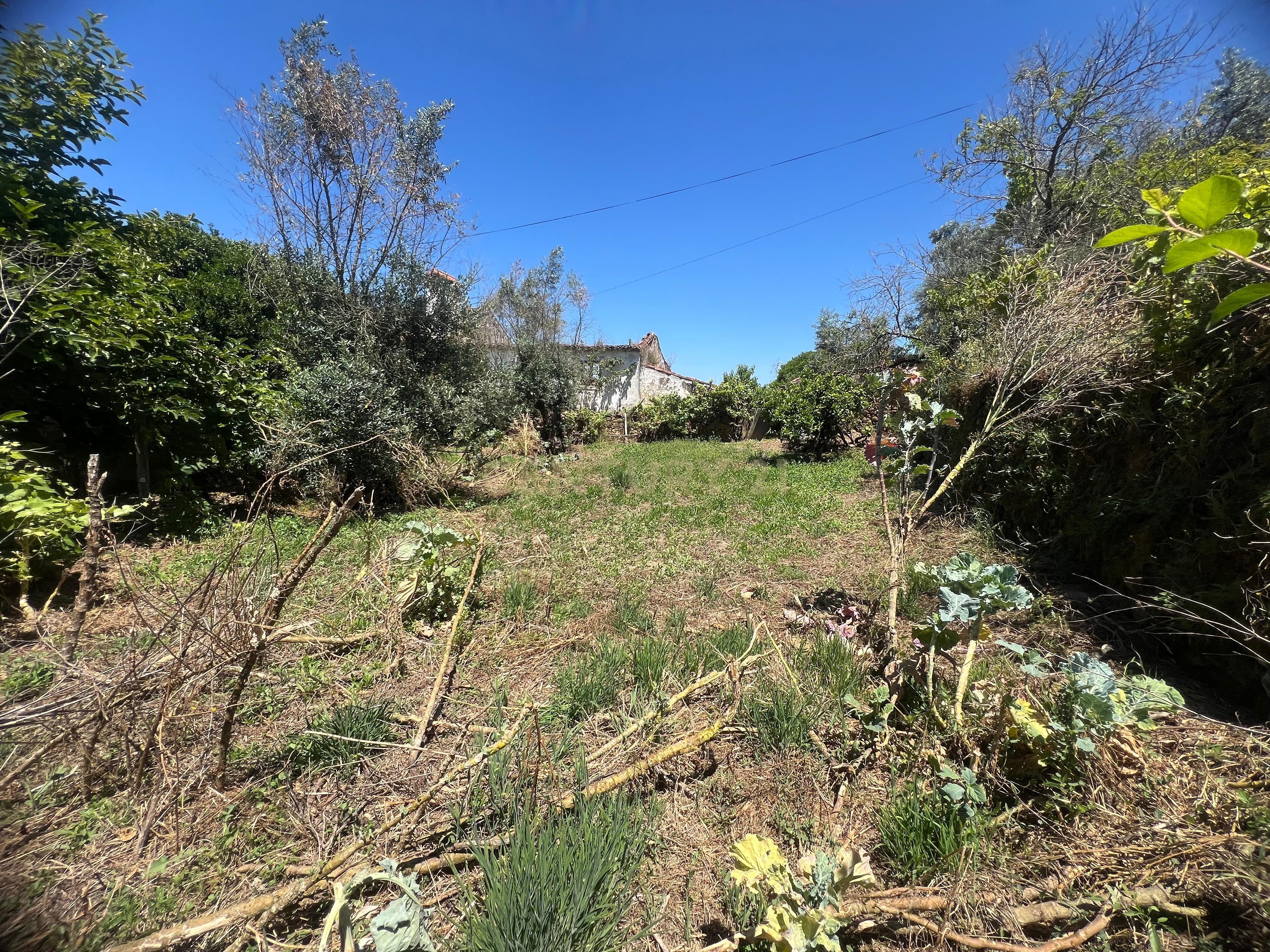 Casa para reconstrução total a 10 min da Praia Fluvial de Aldeia do Mato Abrantes - Image 16