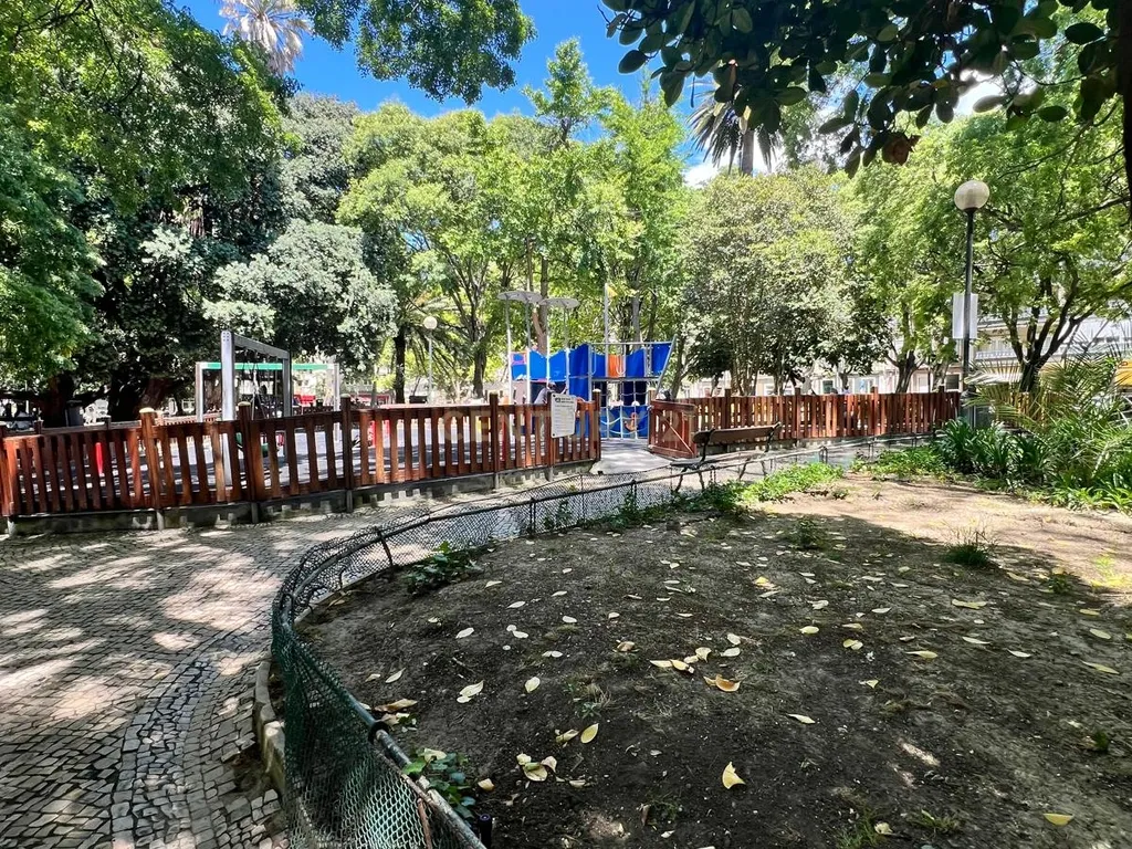 Oportunidade de Investimento em Campo de Ourique – Habitação + Loja Arrendadas com Garagem - Image 11