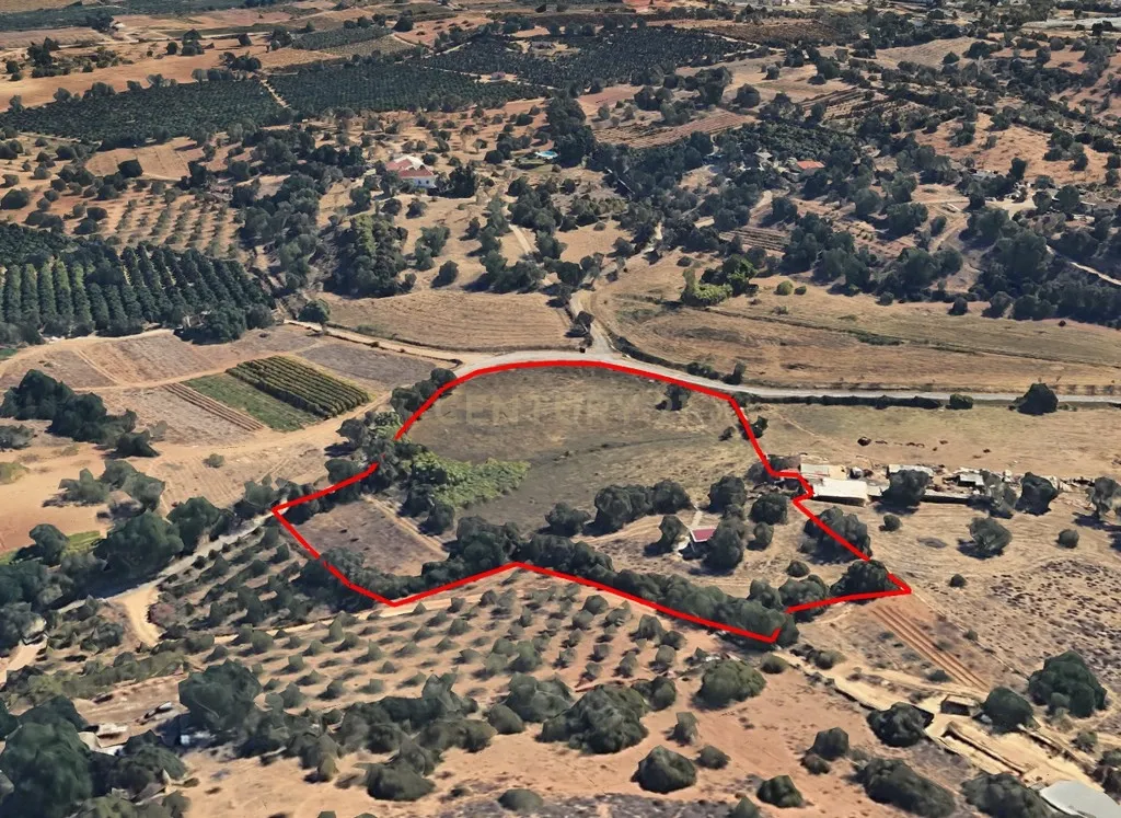 Propriedade Rústica com Ruína e Árvores de Fruto no Vale Formoso – Tavira - Image 3