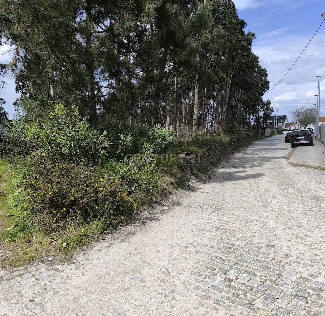 Terreno rústico com 1.750 m², situado em Fão, Esposende - Image 3
