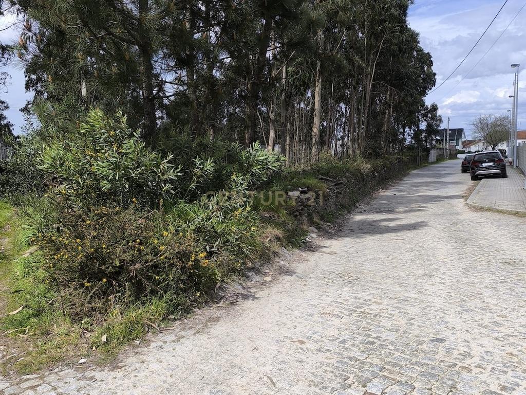 Terreno rústico com 1.750 m², situado em Fão, Esposende - Image 3