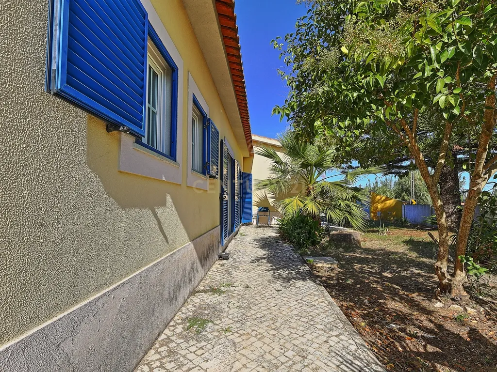 Oportunidade de Investimento, moradia com 6.500 m² de Terreno - Image 12