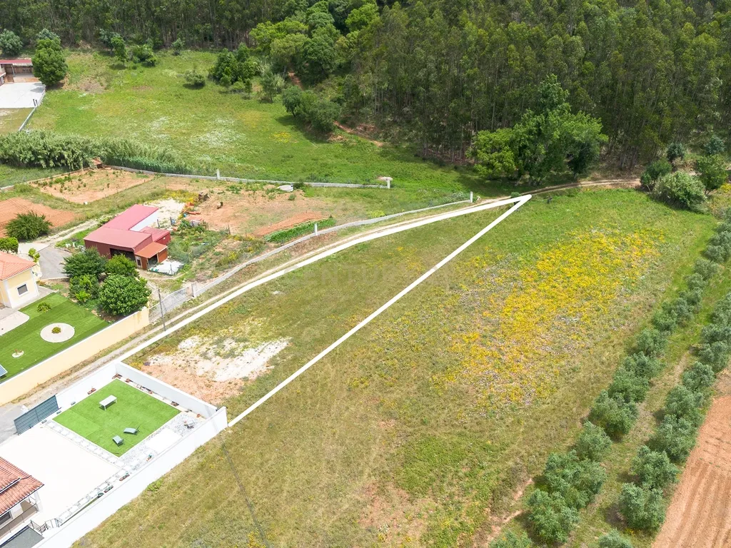 Viva Entre a Serra e Lisboa | Moradia Térrea Nova com Terreno Excecional, junto às Salinas de Rio Maior. - Image 13
