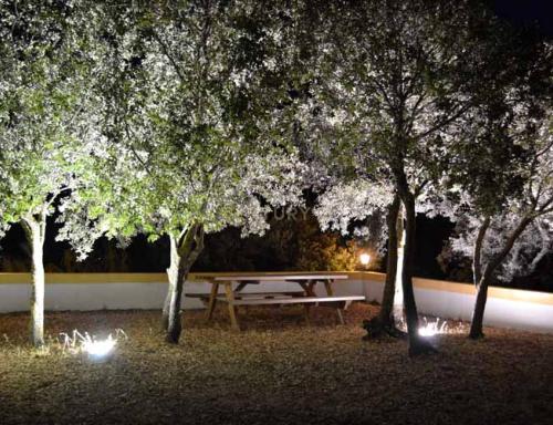 Uma propriedade rural rodeada pela natureza com uma casa de dois andares, piscina privada vedada e terraço para banhos de sol, licença turística, um olival produtivo, instalações para animais adaptáveis ​​e acesso pavimentado a apenas 10 minutos de Ronda. - Image 47