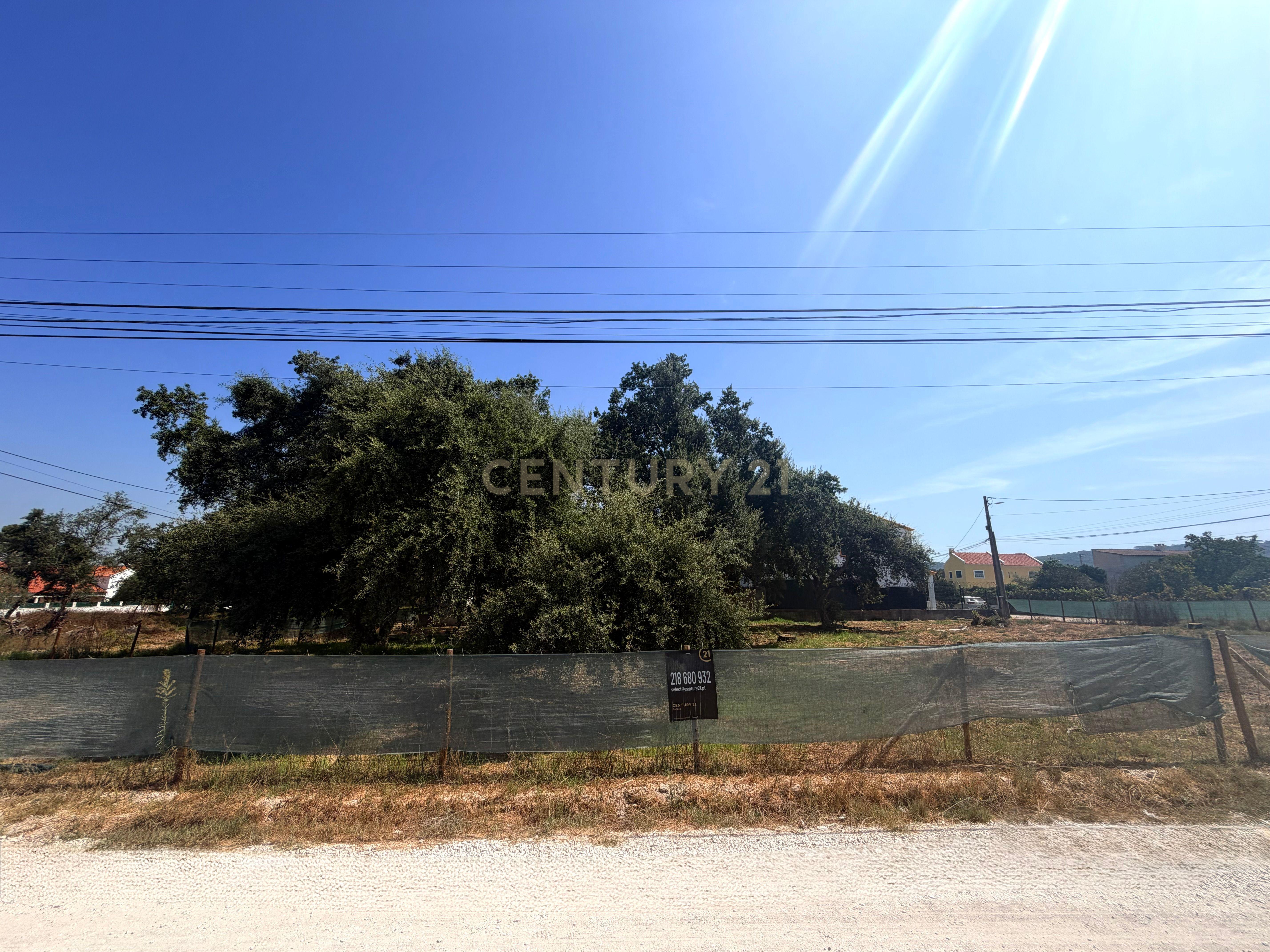 Fotografia 4 de Terreno com Excelente Potencial de Construção em São Simão – Brejos de Azeitão