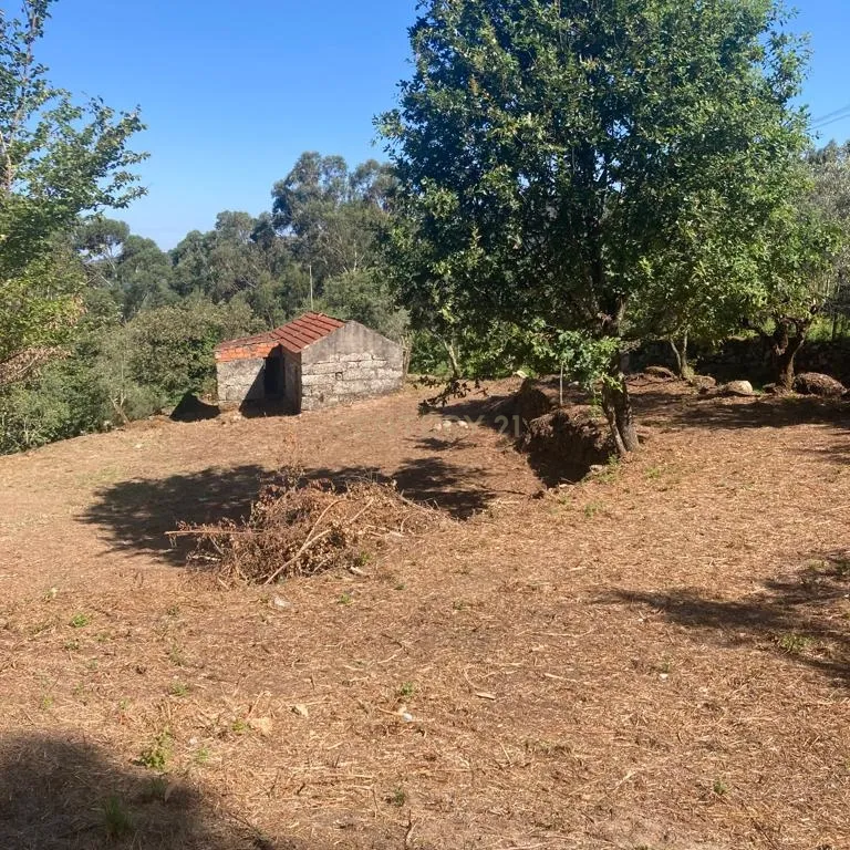 Moradia para reconstrução em Lardosa, Soalhães - Image 11