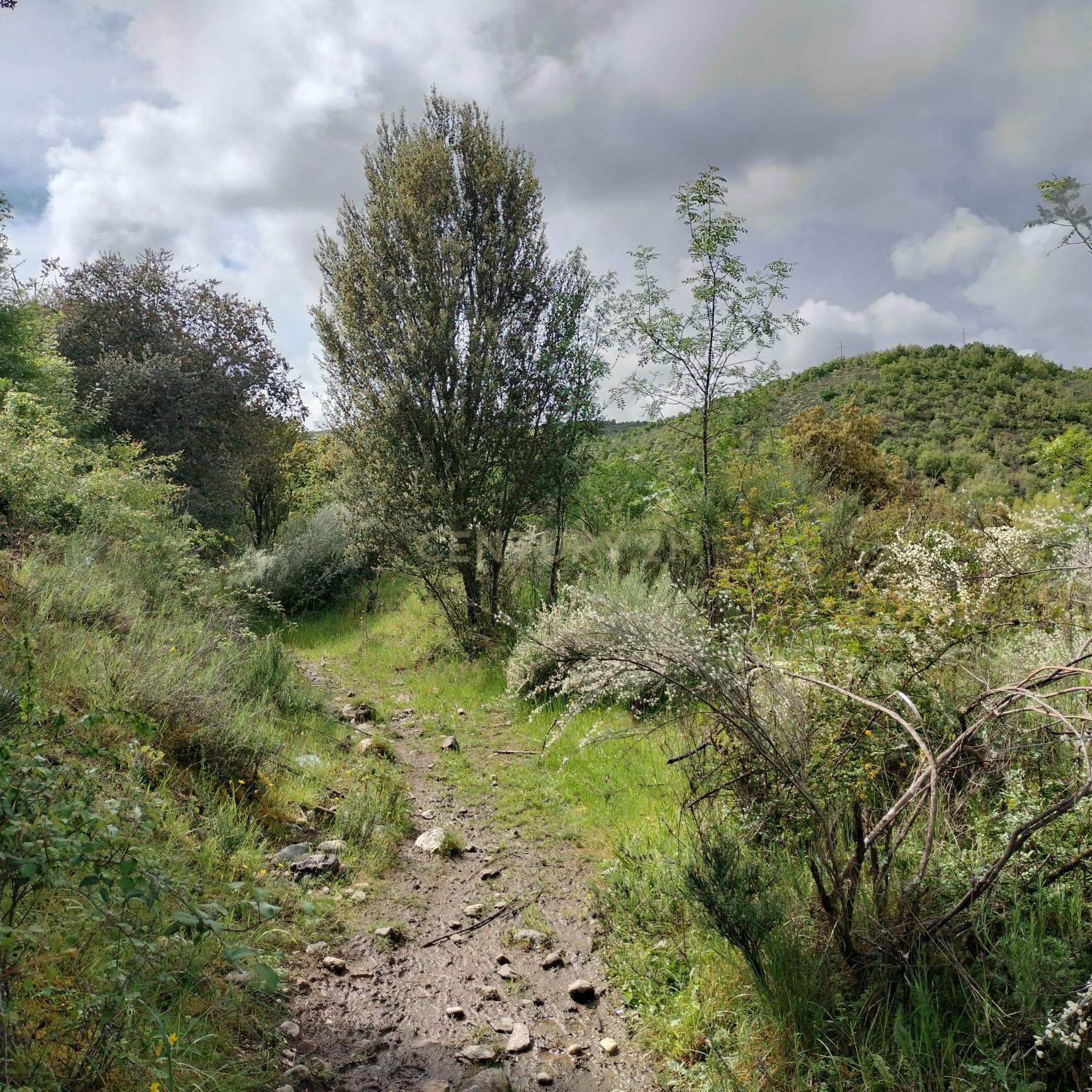 Fotografia 4 de Terreno de 4.500 m² em Meixedo, Bragança — uma oportunidade para um projeto de ecoturismo e turismo de natureza