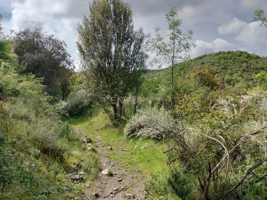 Terreno de 4.500 m² em Meixedo, Bragança — uma oportunidade para um projeto de ecoturismo e turismo de natureza - Image 4