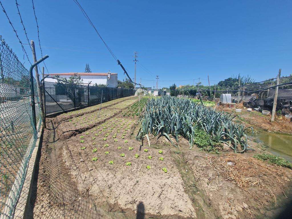 Terreno à venda em Gâmbia Pontes Alto da Guerra, Setúbal - Image 17