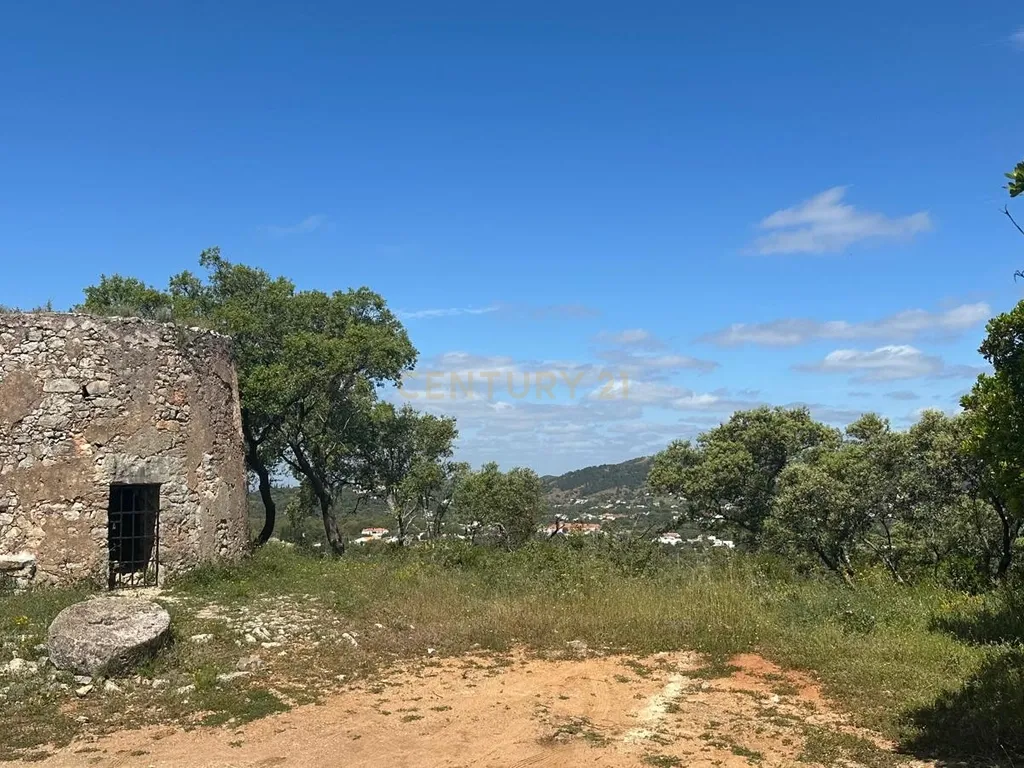 Ruina Moinho - Image 11