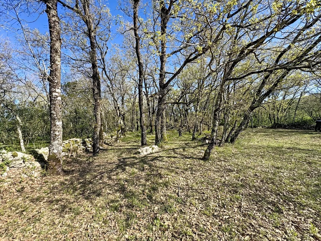 O lugar ideal para construir em plena natureza – Alcobaça - Image 4