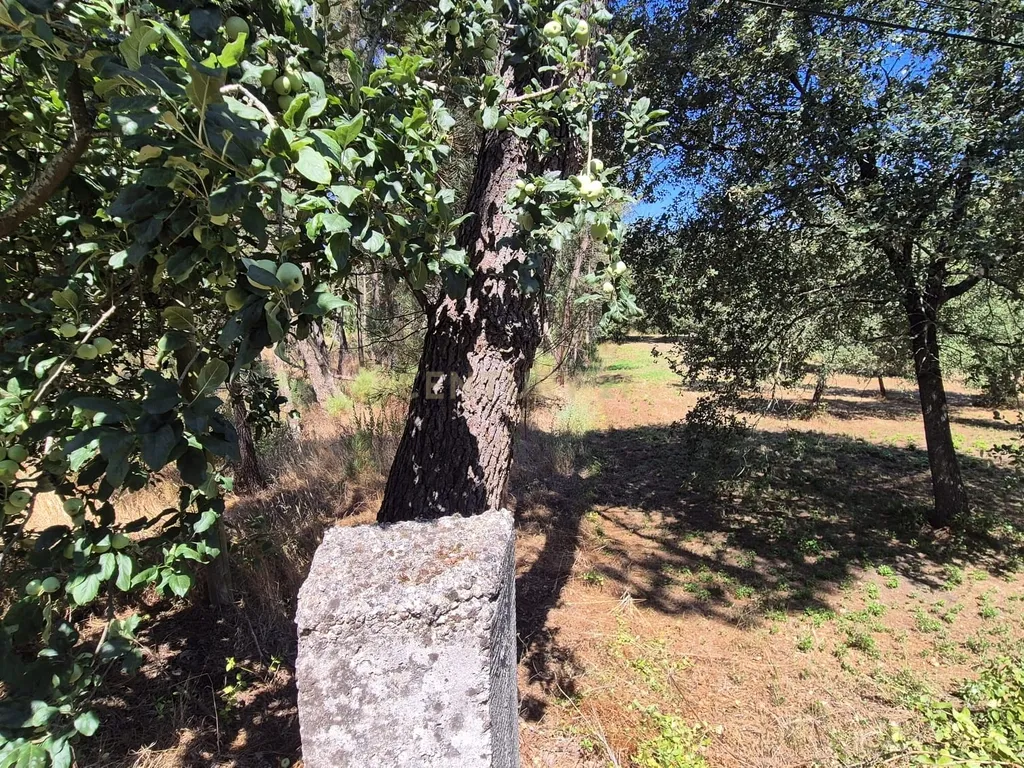 Terreno para Construção em Pombal, Leiria - Oportunidade Única! - Image 2