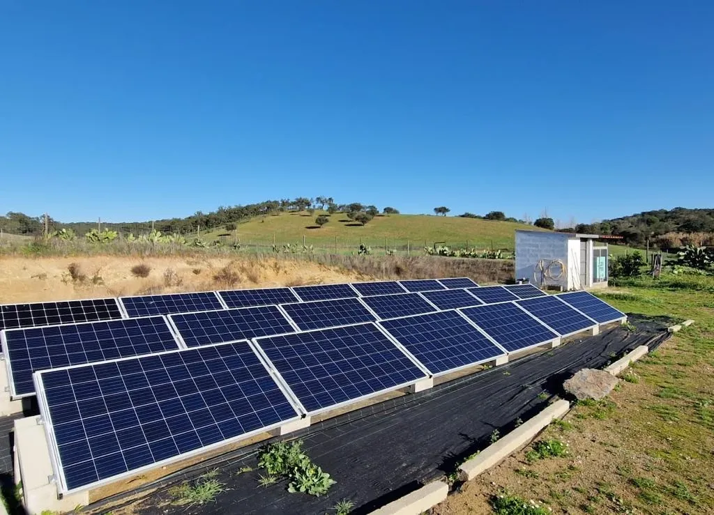 Herdade de 62 Hectares no Coração do Alentejo – Évora - Agricultura - Pecuária - Turismo Rural - Painéis Solares - Image 12