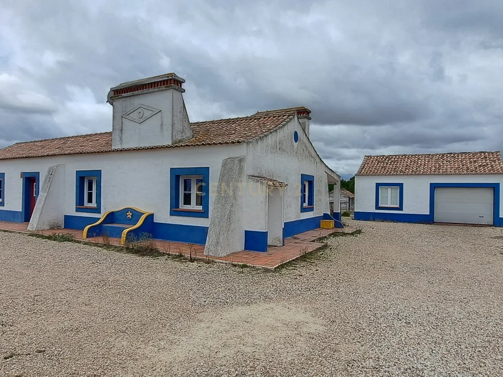 Terreno Rustico 5250m2 com moradia não licenciada Pegões Claros - Image 2