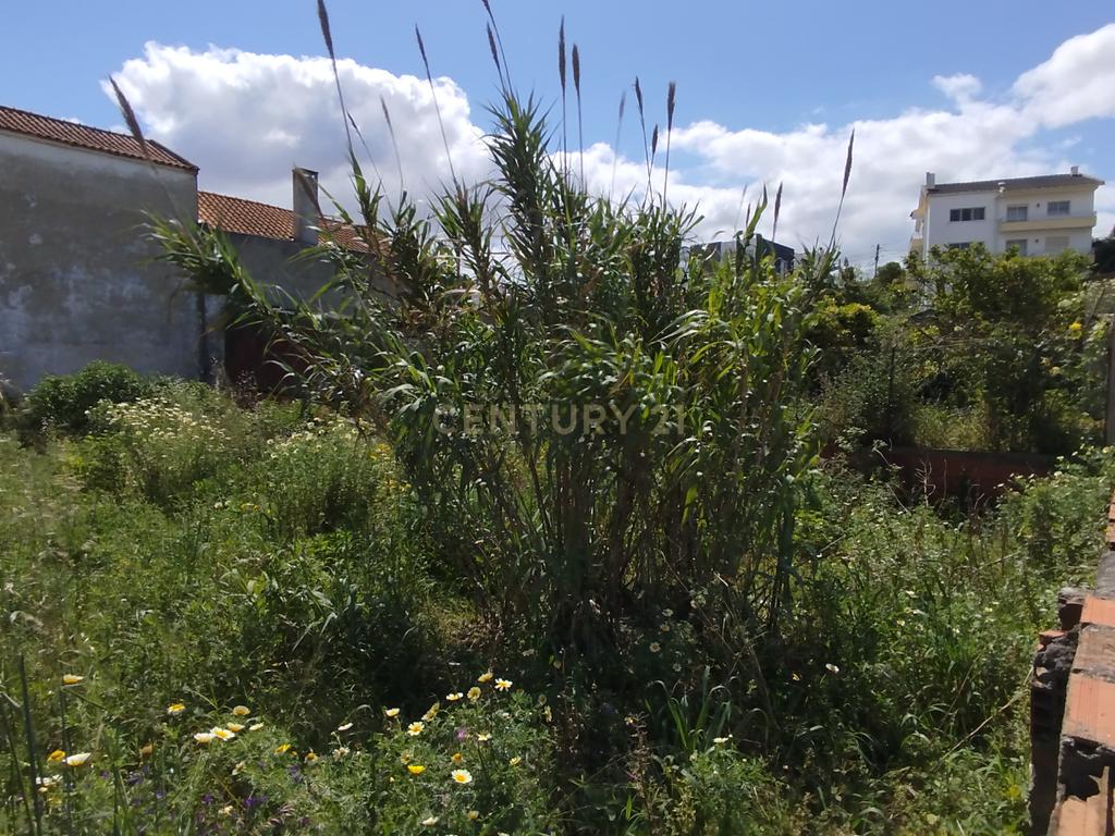 Terreno Urbano com 325m2 – Charneca da Caparica - Image 3